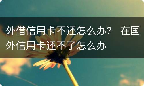 外借信用卡不还怎么办？ 在国外信用卡还不了怎么办