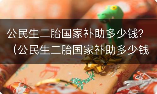 公民生二胎国家补助多少钱？（公民生二胎国家补助多少钱啊）
