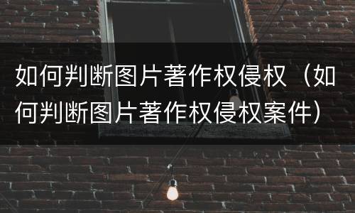 如何判断图片著作权侵权（如何判断图片著作权侵权案件）