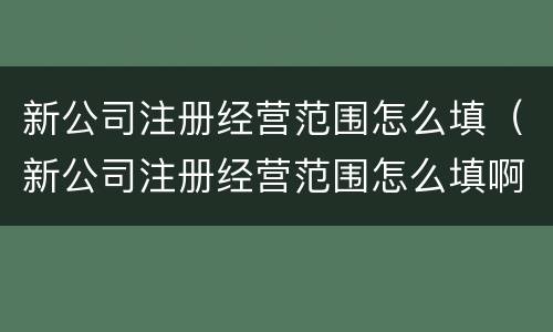 新公司注册经营范围怎么填（新公司注册经营范围怎么填啊）