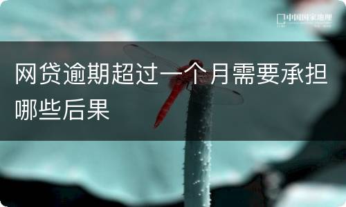 网贷逾期超过一个月需要承担哪些后果