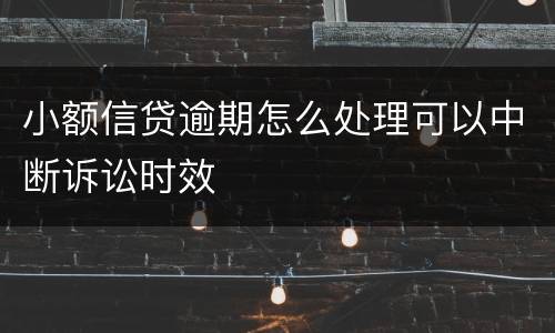 小额信贷逾期怎么处理可以中断诉讼时效