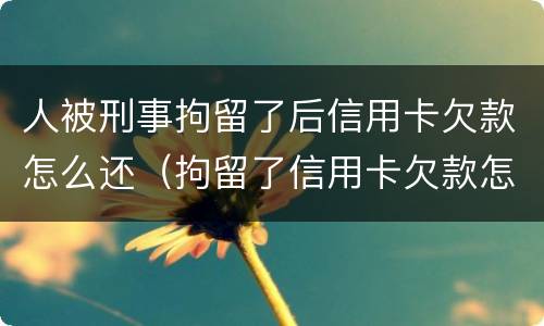 人被刑事拘留了后信用卡欠款怎么还（拘留了信用卡欠款怎么办）