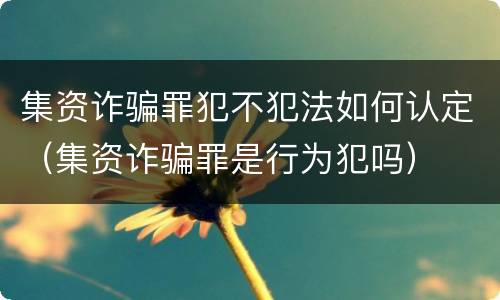 集资诈骗罪犯不犯法如何认定（集资诈骗罪是行为犯吗）