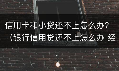 信用卡和小贷还不上怎么办？（银行信用贷还不上怎么办 经验）