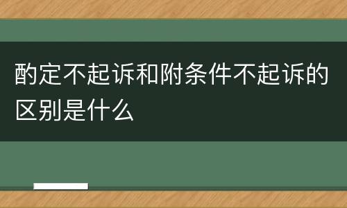 酌定不起诉和附条件不起诉的区别是什么