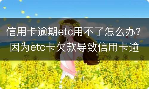 信用卡逾期etc用不了怎么办？ 因为etc卡欠款导致信用卡逾期怎么办