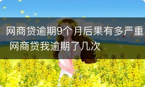 网商贷逾期9个月后果有多严重 网商贷我逾期了几次
