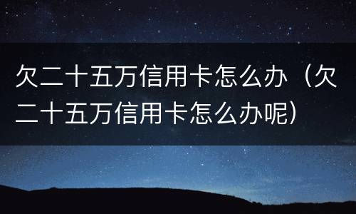 欠二十五万信用卡怎么办（欠二十五万信用卡怎么办呢）