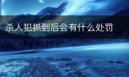 杀人犯抓到后会有什么处罚