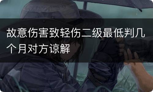 故意伤害致轻伤二级最低判几个月对方谅解