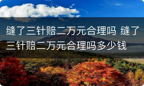 缝了三针赔二万元合理吗 缝了三针赔二万元合理吗多少钱