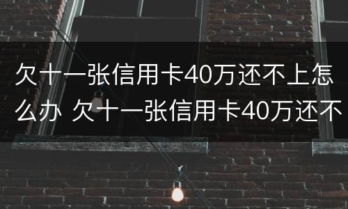 欠十一张信用卡40万还不上怎么办 欠十一张信用卡40万还不上怎么办呀