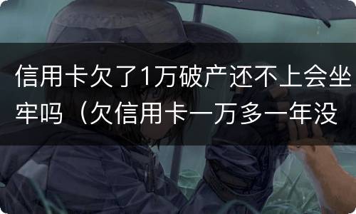 信用卡欠了1万破产还不上会坐牢吗（欠信用卡一万多一年没还会不会坐牢）