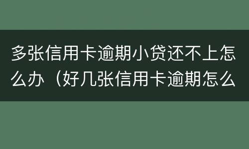 多张信用卡逾期小贷还不上怎么办（好几张信用卡逾期怎么办）