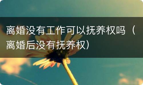 离婚没有工作可以抚养权吗（离婚后没有抚养权）