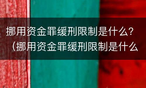 挪用资金罪缓刑限制是什么？（挪用资金罪缓刑限制是什么情形）