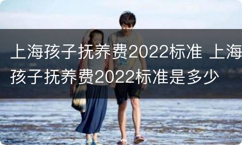 上海孩子抚养费2022标准 上海孩子抚养费2022标准是多少