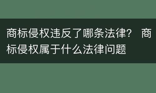 商标侵权违反了哪条法律？ 商标侵权属于什么法律问题