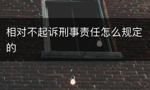 相对不起诉刑事责任怎么规定的