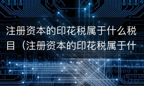 注册资本的印花税属于什么税目（注册资本的印花税属于什么税目类别）