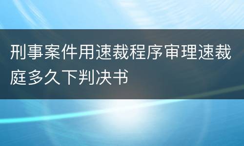 刑事案件用速裁程序审理速裁庭多久下判决书