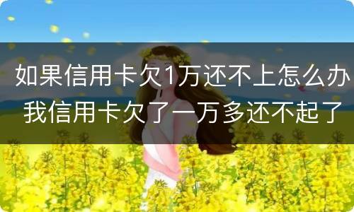 如果信用卡欠1万还不上怎么办 我信用卡欠了一万多还不起了怎么办