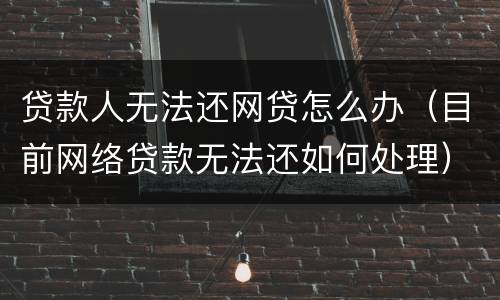 贷款人无法还网贷怎么办（目前网络贷款无法还如何处理）