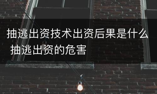 抽逃出资技术出资后果是什么 抽逃出资的危害
