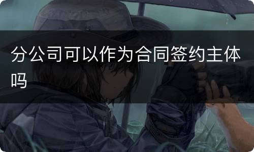 分公司可以作为合同签约主体吗