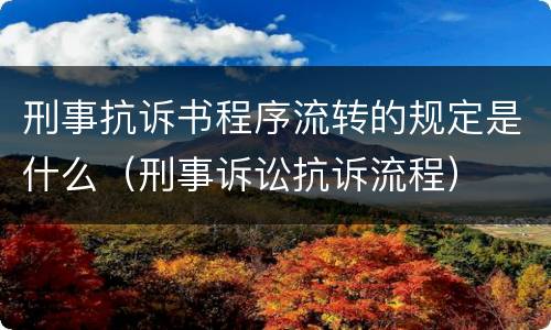 刑事抗诉书程序流转的规定是什么（刑事诉讼抗诉流程）