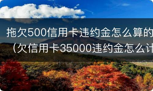 拖欠500信用卡违约金怎么算的（欠信用卡35000违约金怎么计算）