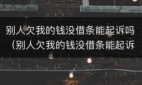 别人欠我的钱没借条能起诉吗（别人欠我的钱没借条能起诉吗怎么办）