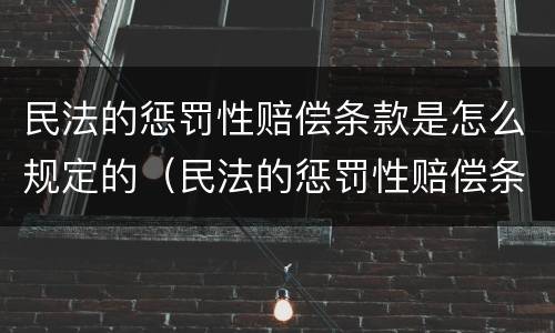 民法的惩罚性赔偿条款是怎么规定的（民法的惩罚性赔偿条款是怎么规定的呢）