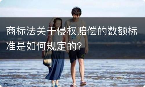 商标法关于侵权赔偿的数额标准是如何规定的？