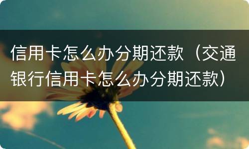 信用卡怎么办分期还款（交通银行信用卡怎么办分期还款）