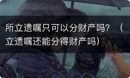 所立遗嘱只可以分财产吗？（立遗嘱还能分得财产吗）