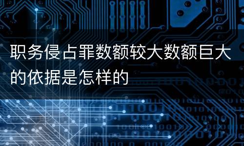 职务侵占罪数额较大数额巨大的依据是怎样的
