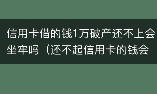 信用卡借的钱1万破产还不上会坐牢吗（还不起信用卡的钱会坐牢吗）