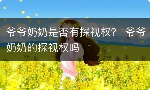 爷爷奶奶是否有探视权？ 爷爷奶奶的探视权吗