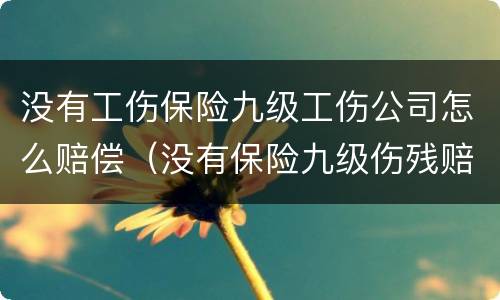 没有工伤保险九级工伤公司怎么赔偿（没有保险九级伤残赔偿标准）