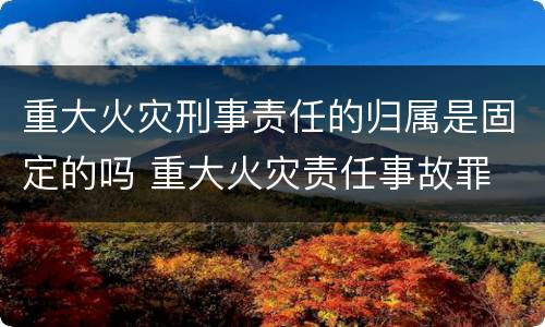重大火灾刑事责任的归属是固定的吗 重大火灾责任事故罪