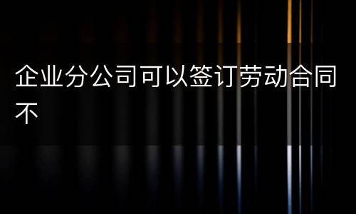 企业分公司可以签订劳动合同不