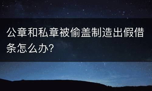 公章和私章被偷盖制造出假借条怎么办？