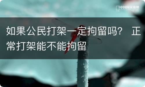 如果公民打架一定拘留吗？ 正常打架能不能拘留