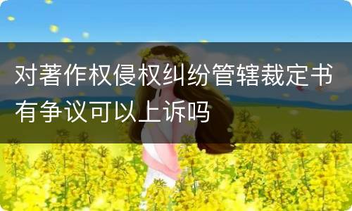 对著作权侵权纠纷管辖裁定书有争议可以上诉吗