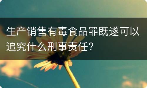 生产销售有毒食品罪既遂可以追究什么刑事责任?