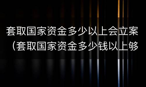 套取国家资金多少以上会立案（套取国家资金多少钱以上够犯罪）