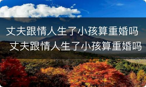 丈夫跟情人生了小孩算重婚吗 丈夫跟情人生了小孩算重婚吗