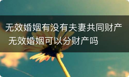 无效婚姻有没有夫妻共同财产 无效婚姻可以分财产吗